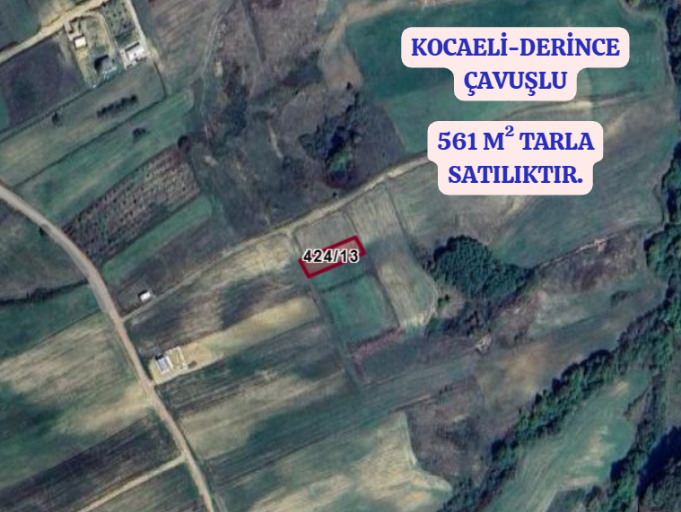 KOCAELİ DERİNCE ÇAVUŞLU   KÖYÜNDE  561   M²  TARLA  SATILIKTIR - KOCAELİ DERİNCE fotoğraf 2