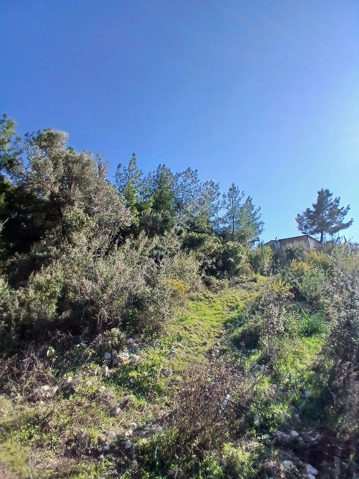 Belen Mahallesinde Satılık 3583 M2 Arsa - ANTALYA KUMLUCA fotoğraf 4