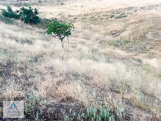 Köy merkezinde satılık hobi bahçesi - İZMİR ÖDEMİŞ fotoğraf 9