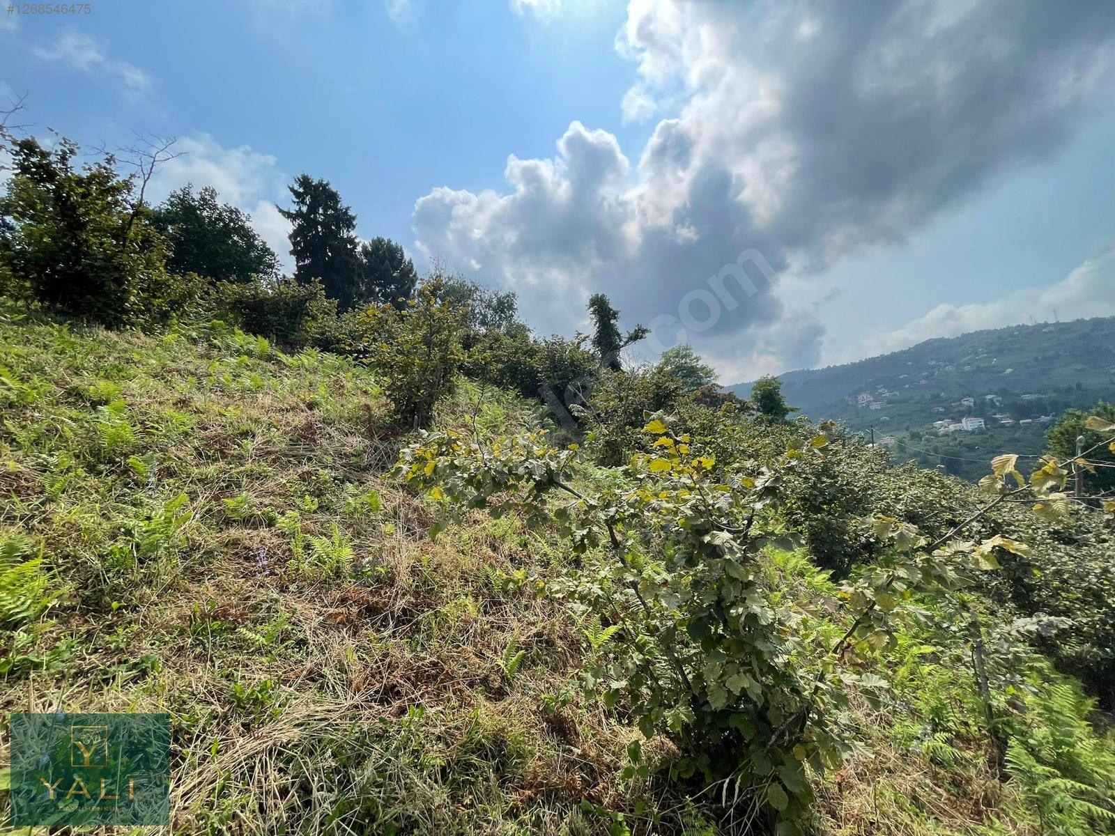 GİRESUN MERKEZ YALIKÖY MEVKİİ SATILIK ARAZİ - GİRESUN MERKEZ fotoğraf 40