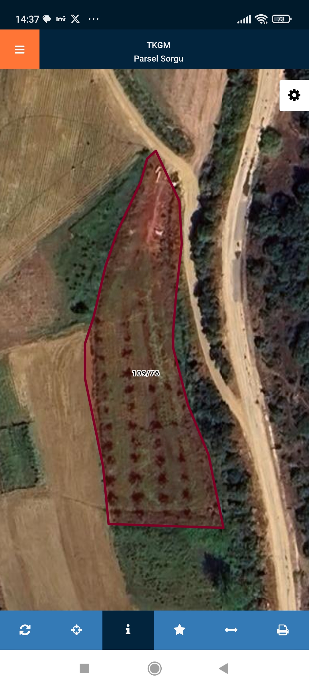 Ceviz ve hobi bahcesi - BURSA YENİŞEHİR fotoğraf 19