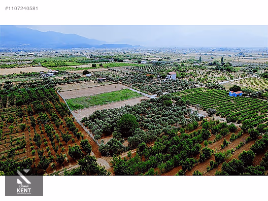 Kemalpaşa Aşağıkızılca Satılık Bahçe 1.200 m2 Tek Tapu - İZMİR KEMALPAŞA fotoğraf 12