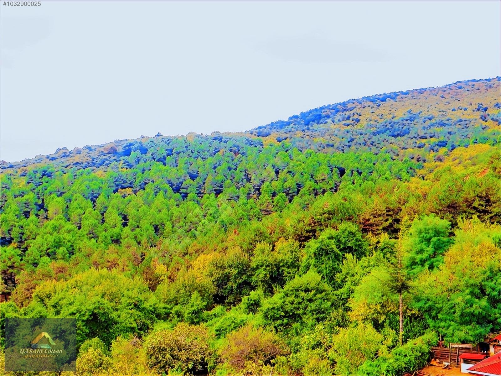 FOREST LİFE SİTESİ 2'DE ORMANA SIFIR %80 KREDİ İMKANI 3+1 DAİRE - İSTANBUL SULTANBEYLİ fotoğraf 20