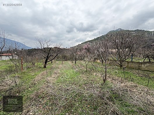 ROYAL EMLAKTAN FİLİNGİRLER MEVKİNDE YOL KENARI BAHÇE - AMASYA MERKEZ fotoğraf 7