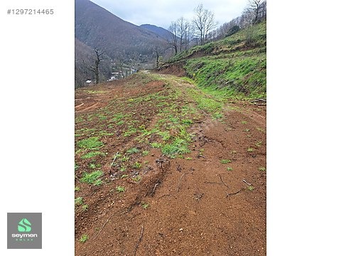 KOCAELİ/GÖLCÜK SOFULAR KÖYÜNDE SATILIK TARLA - KOCAELİ GÖLCÜK fotoğraf 8