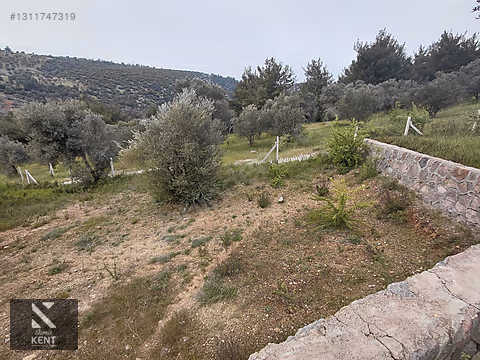 Kemalpaşa Yenmiş'de Satılık Bahçe 406 m2 - İZMİR KEMALPAŞA fotoğraf 11