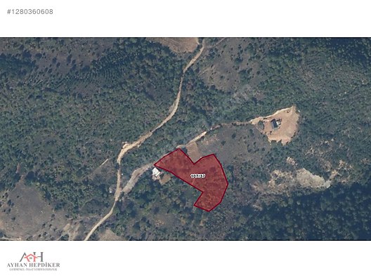 AYHAN HEPDİKER DEN GEYVE ILICA'DA 3863 M2 YOLLU ORMAN MANZARALI - SAKARYA GEYVE fotoğraf 3