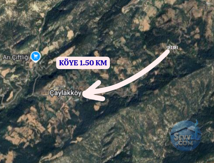 BOLU GÖYNÜK ÇAYLAK  KÖYÜNDE  296 M²  TARLA  SATILIKTIR - BOLU GÖYNÜK fotoğraf 5