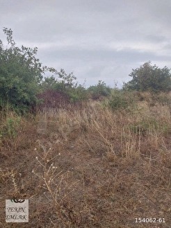 YALOVA ALTINOVA KAYTAZDERE'DE 7180M2 YATIRIMLIK TARLA BİR BÜLÜMÜ İMARLI 2 PAPSEL - YALOVA ALTINOVA fotoğraf 4