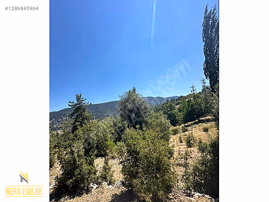 KAŞ'IN EN GÖZDE MAHALLELERİN'DEN SÜTLEĞEN'DE TEK TAPU 2.072m2 - ANTALYA KAŞ fotoğraf 10