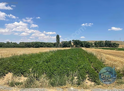 KONYA AKŞEHİR YEŞİLKÖY DE 917 M² TARLAMIZ SATILIKTIR - KONYA AKŞEHİR fotoğraf 6