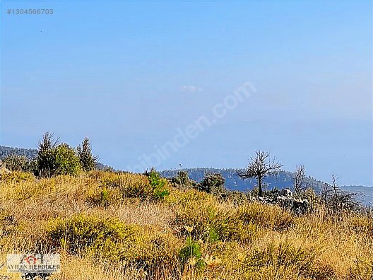 Zeytinköy'de Akbük Yolu Üzerinde, Geleceğin Değeri: 4.188m²tarla - MUĞLA MENTEŞE fotoğraf 5