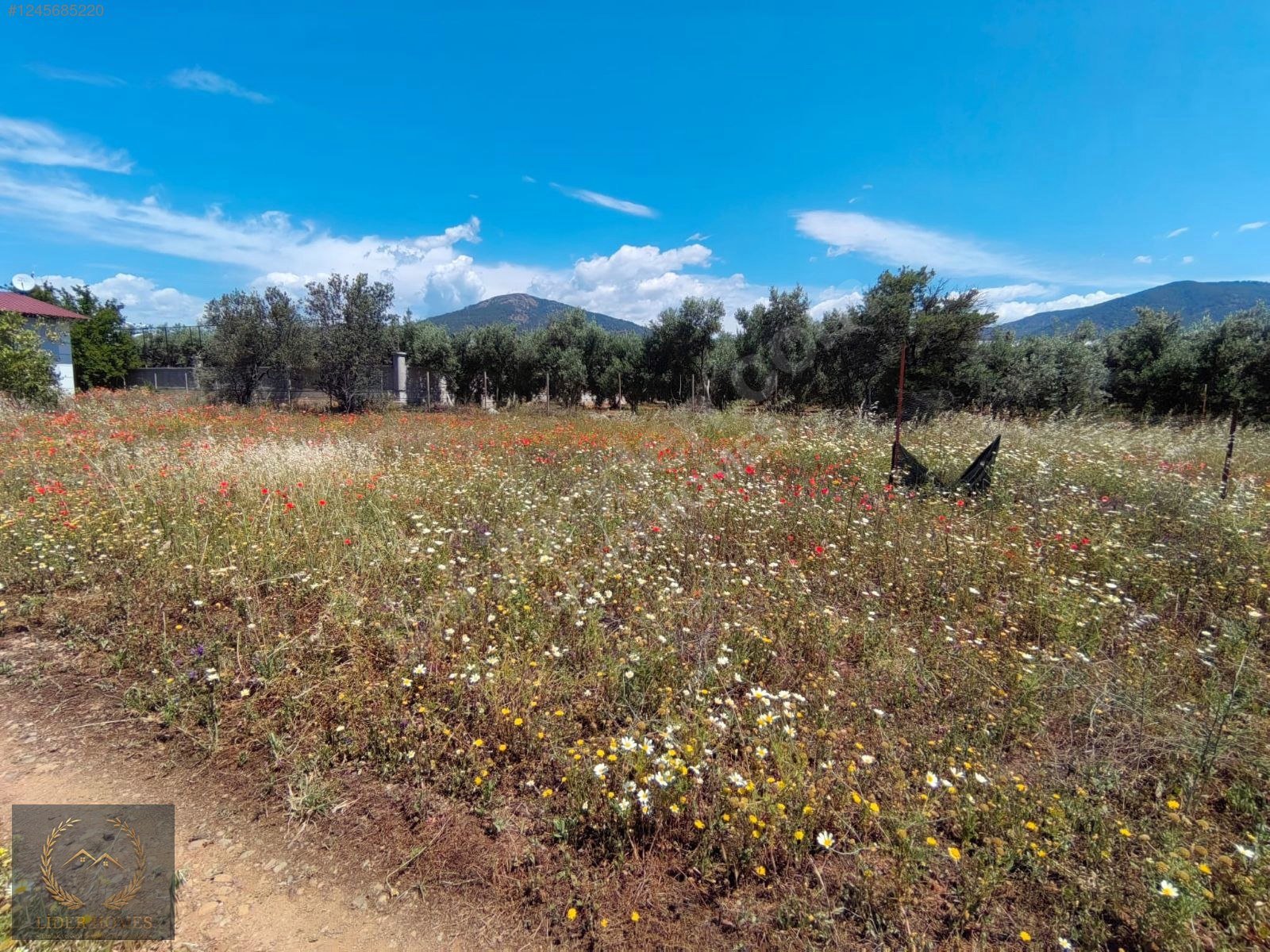 FETHİYE ÇAMKÖY DE %25 İMARLI ARSA 300 M - MUĞLA FETHİYE fotoğraf 2