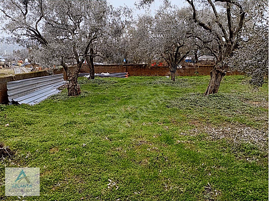 Atlantik gayrimenkul den satılık imarlı arsa - İZMİR ÖDEMİŞ fotoğraf 21