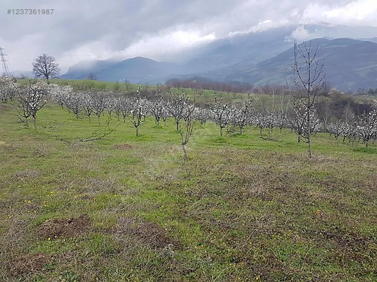 Fırsat tarla inegöl ve Uludağ manzaralı - BURSA İNEGÖL fotoğraf 3