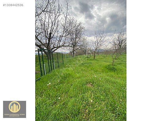KUCUK YENICEDE RESMI YOLA CEPHE HOBI BAHCESI - BURSA İNEGÖL fotoğraf 16