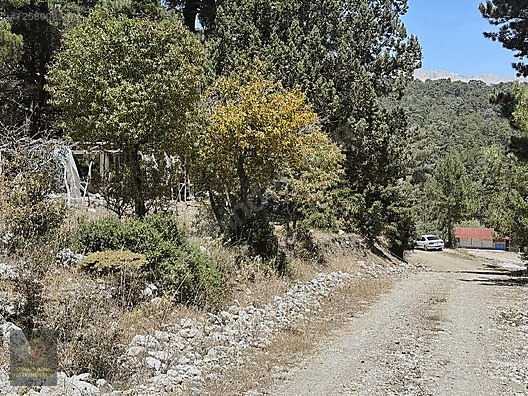 ANTALYA KAŞ YAYLAPALAMUT' DA 3.888 M2 UYGUN ARSA - ANTALYA KAŞ fotoğraf 6