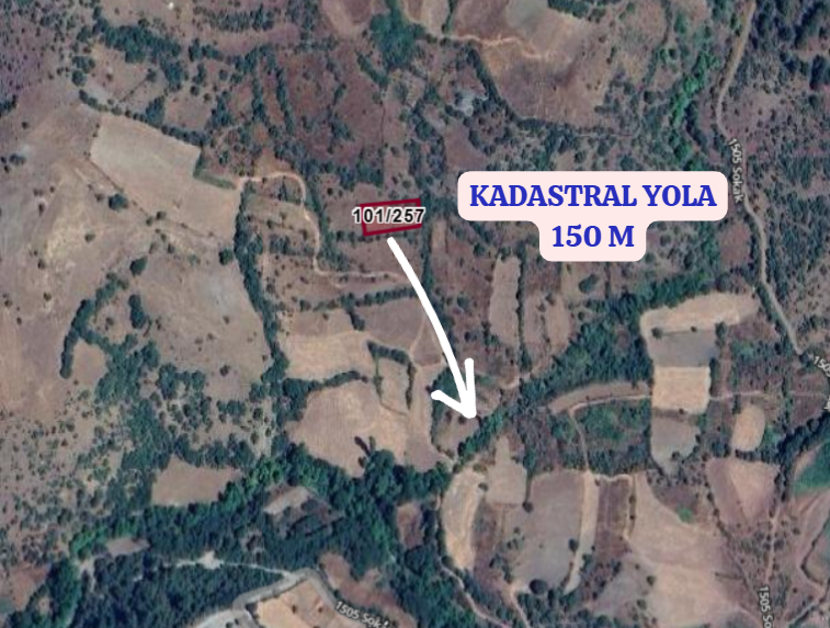 BALIKESİR DURSUNBEY AKYAYLA  KÖYÜNDE  699  M²  BAĞ  SATILIKTIR - BALIKESİR DURSUNBEY fotoğraf 3