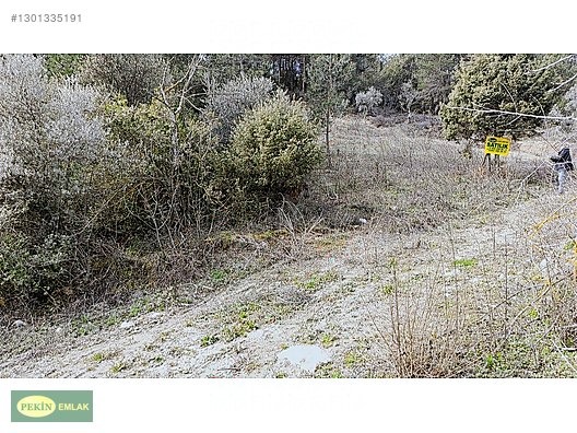 PEKİN EMLAK'tan PAMUKOVA Çileklide satılık - SAKARYA PAMUKOVA fotoğraf 7