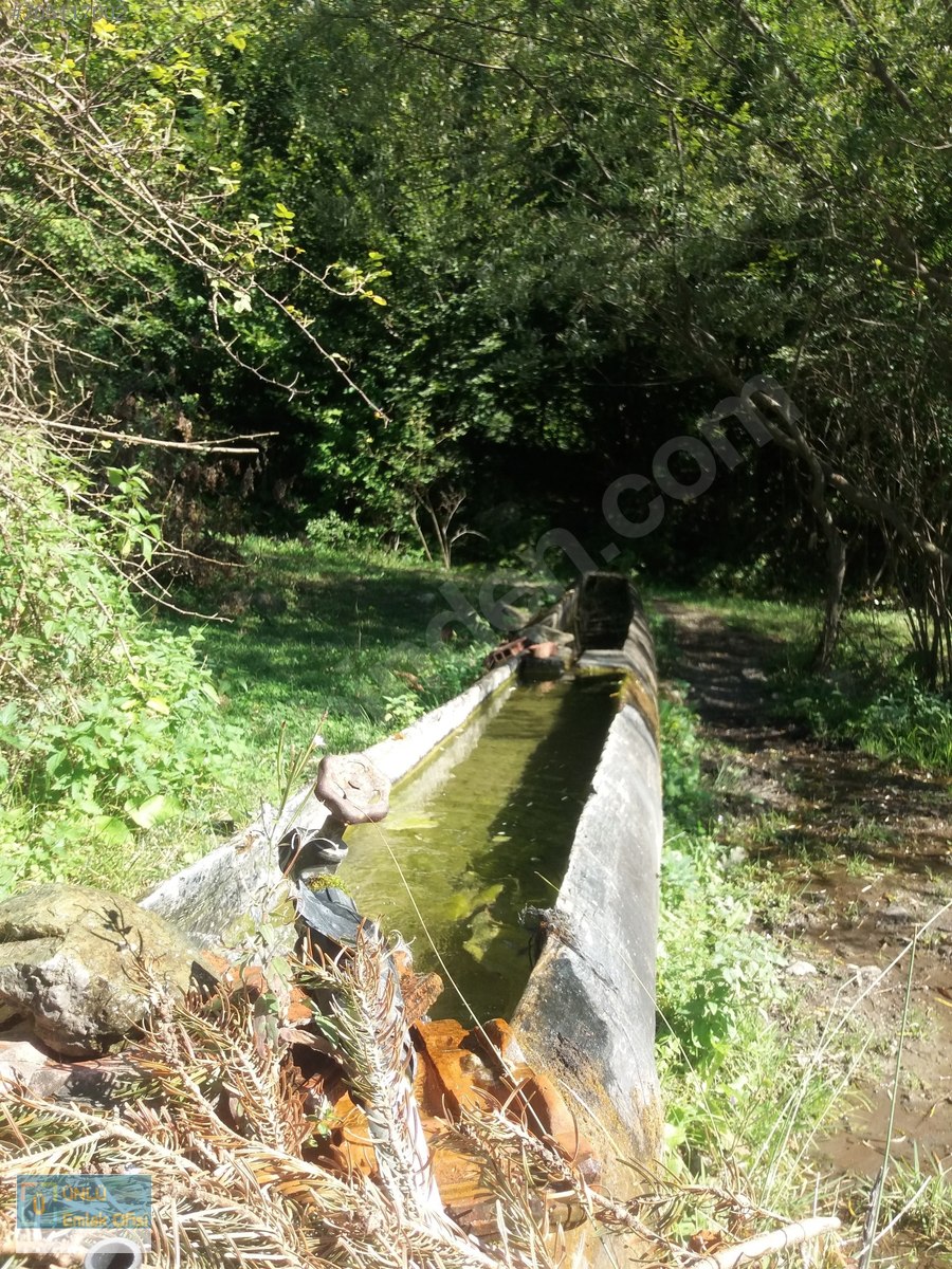 ÜNLÜ EMLAKTAN ILGAZ MANZARALI ORMAN İÇİNDE 50 DÖNÜM CAZİP ARAZİ - KASTAMONU MERKEZ fotoğraf 30