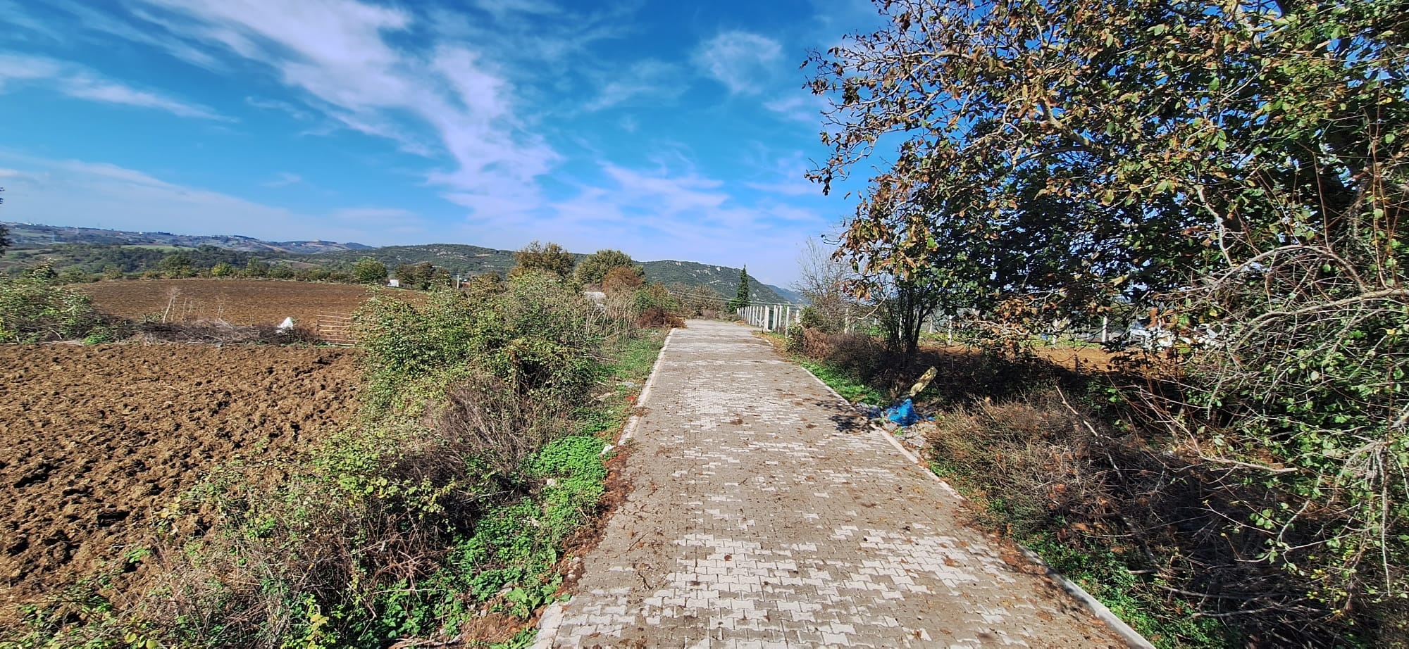 SAHİBINDEN FEVZİYEDE 52246M2 - YALOVA ALTINOVA fotoğraf 6