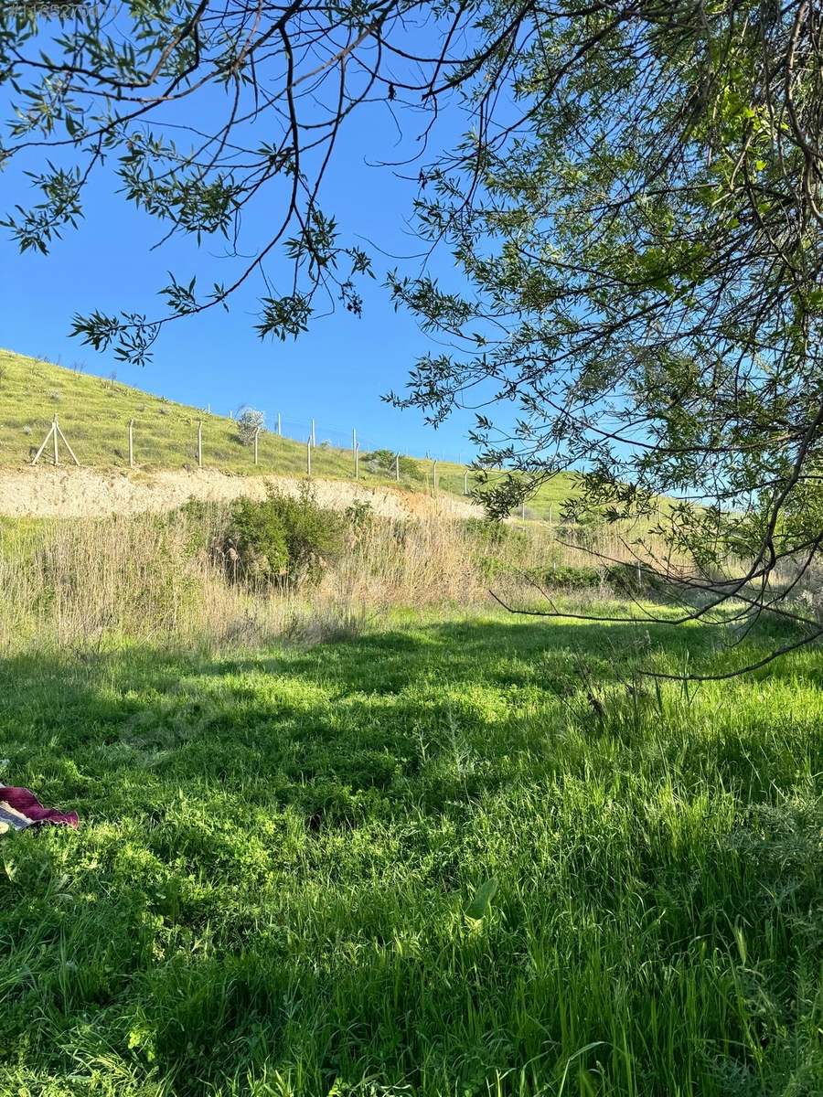 ADIYAMAN KAHTA SALKIMBAĞI KÖYÜNDE  2.150 M²  BAHÇE SATILIKTIR. - ADIYAMAN KAHTA fotoğraf 9