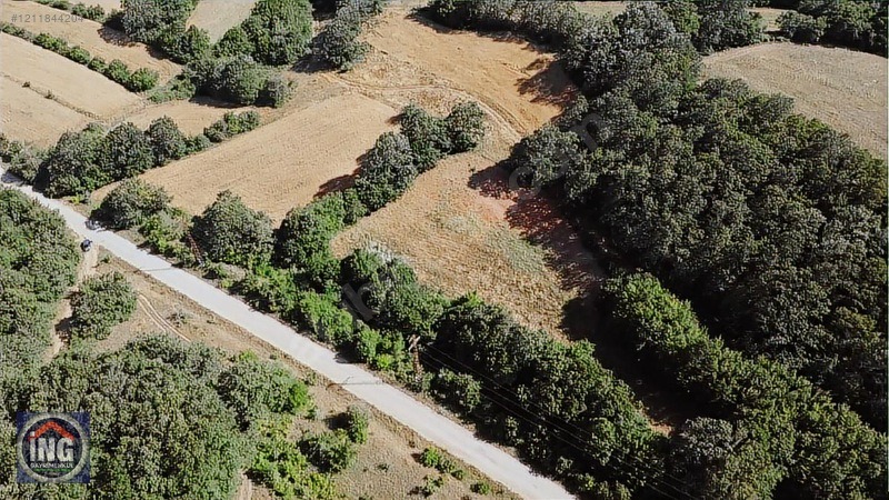 BEYPINAR KÖY DİBİNDE ASFALT YOLU OLAN ETRAFI ÇEVRİLİ ARAZİ - KIRKLARELİ MERKEZ fotoğraf 6