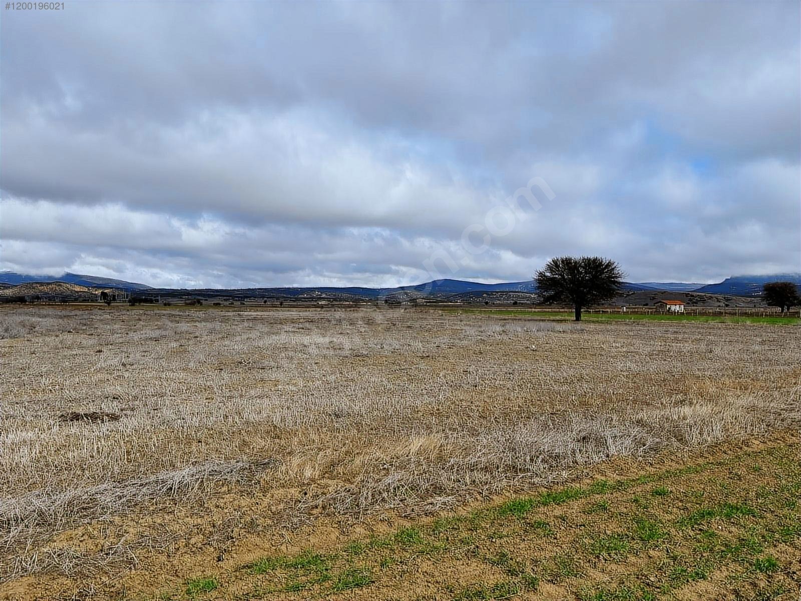 ISPARTA KEÇİBORLU'DA AFYON YOLUNA 400 METRE MESAFEDE UYGUN ARSA - ISPARTA KEÇİBORLU fotoğraf 17