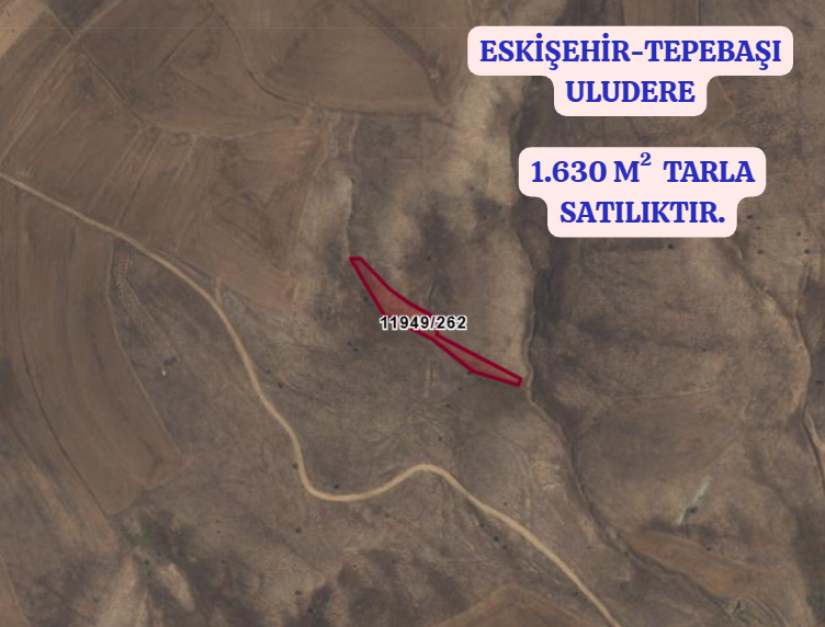ESKİŞEHİR TEPEBAŞI ULUDERE   KÖYÜNDE 1.630  M²  TARLA SATILIKTIR   - ESKİŞEHİR TEPEBAŞI fotoğraf 2