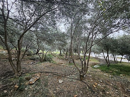 MUHTESEM LOKASYON 258M2 SUPER YATİRİM DUNYA GÖZBEBEĞİ VİLLA ARSA - MUĞLA FETHİYE fotoğraf 26