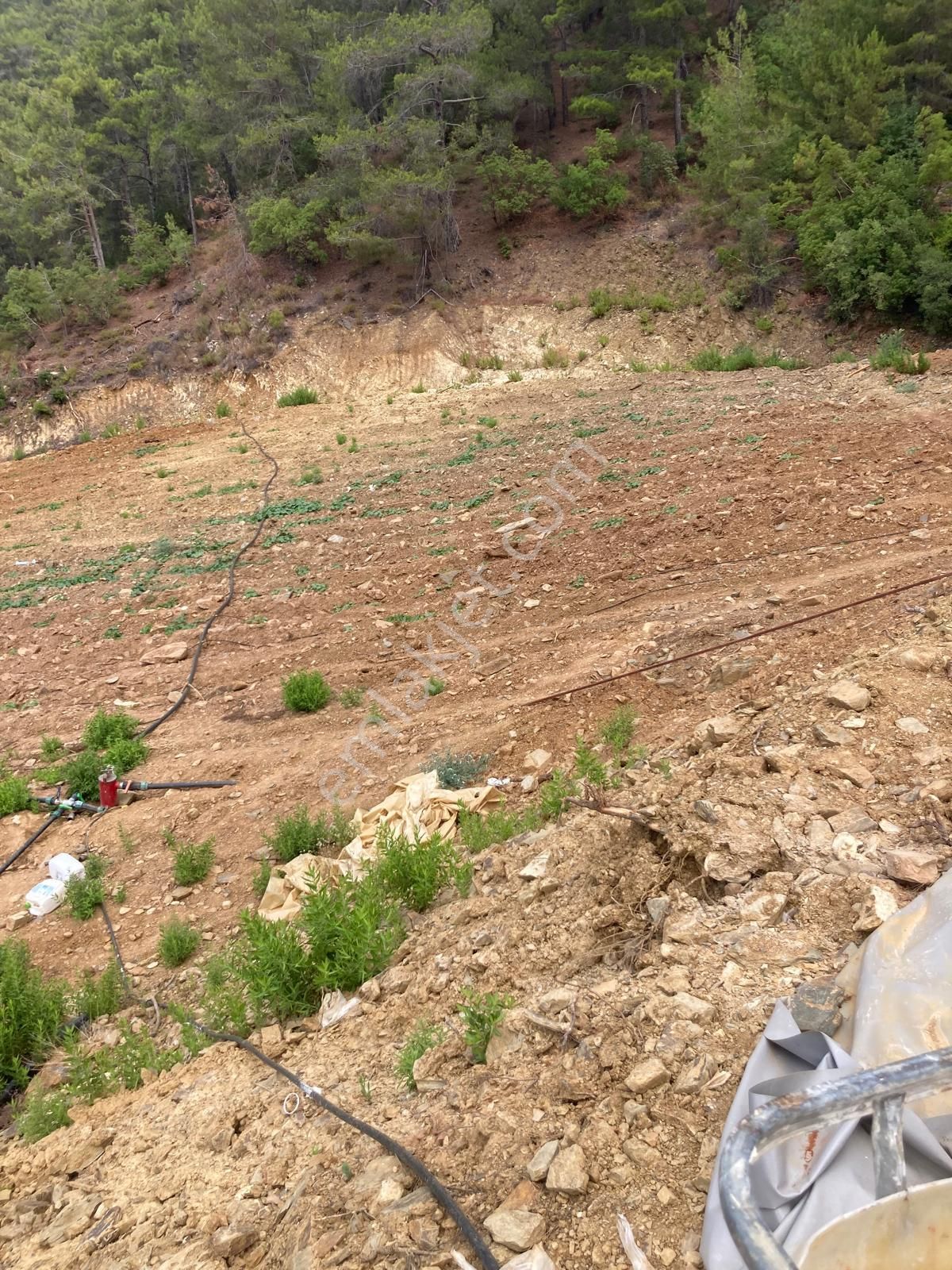 Anchor Gayrimenkul'den Demirören Mahallesin'de Satılık Tarla - MERSİN ANAMUR fotoğraf 5