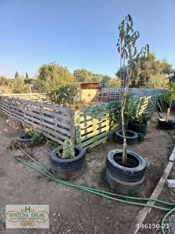 İzmir Torbalı Karakuyuda 500m2 arazi içinde 2+1 bahçeli ev satılık. - İZMİR TORBALI fotoğraf 16