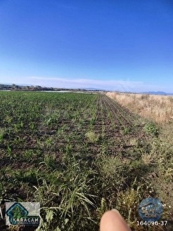 Çanakkale Biga Gerlengeç Köyünde Satılık Tarla - ÇANAKKALE BİGA fotoğraf 17