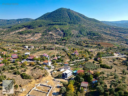 Seferihisar Orhanlı Köyü'nde Yatırıma Uygun 2.250 m² Zeytinlik - İZMİR SEFERİHİSAR fotoğraf 3