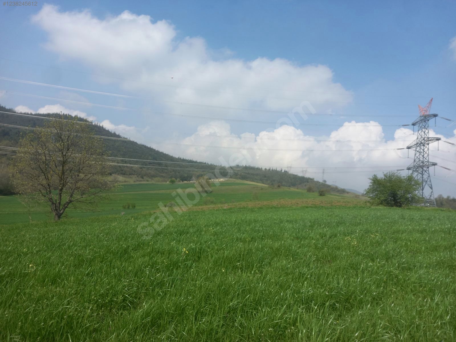 BURSA KESTEL ERDOĞAN KÖYÜ'NDE 3.663  M² TARLA SATILIKTIR - BURSA KESTEL fotoğraf 4