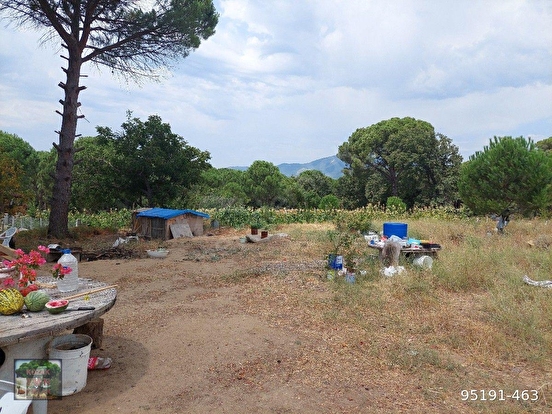 BERGAMA KOZAK YUKARIBEY MAH DE 4750 M2 BAĞ - İZMİR BERGAMA fotoğraf 8