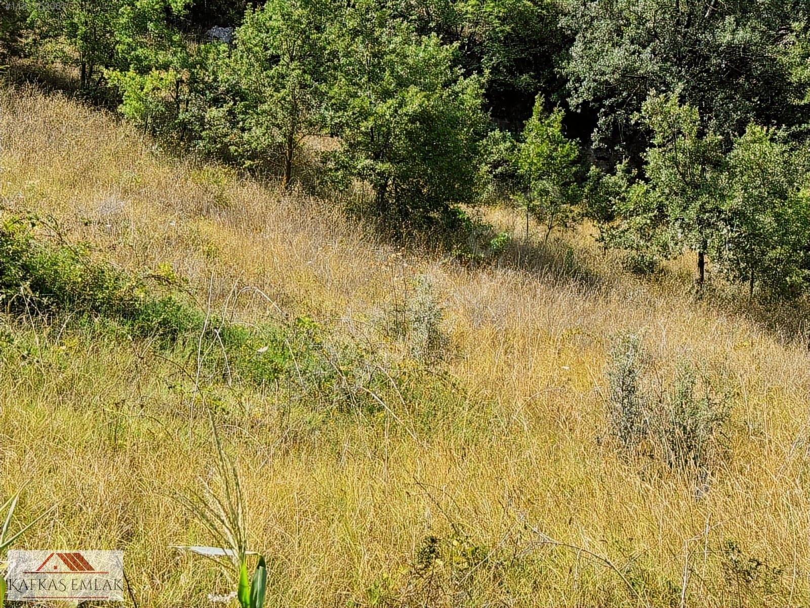 ALPAĞUT MAHALLESİ 5.125 M² KÖY ASFALTINA CEPHE SATILIK TARLA - BURSA MUSTAFAKEMALPAŞA fotoğraf 9