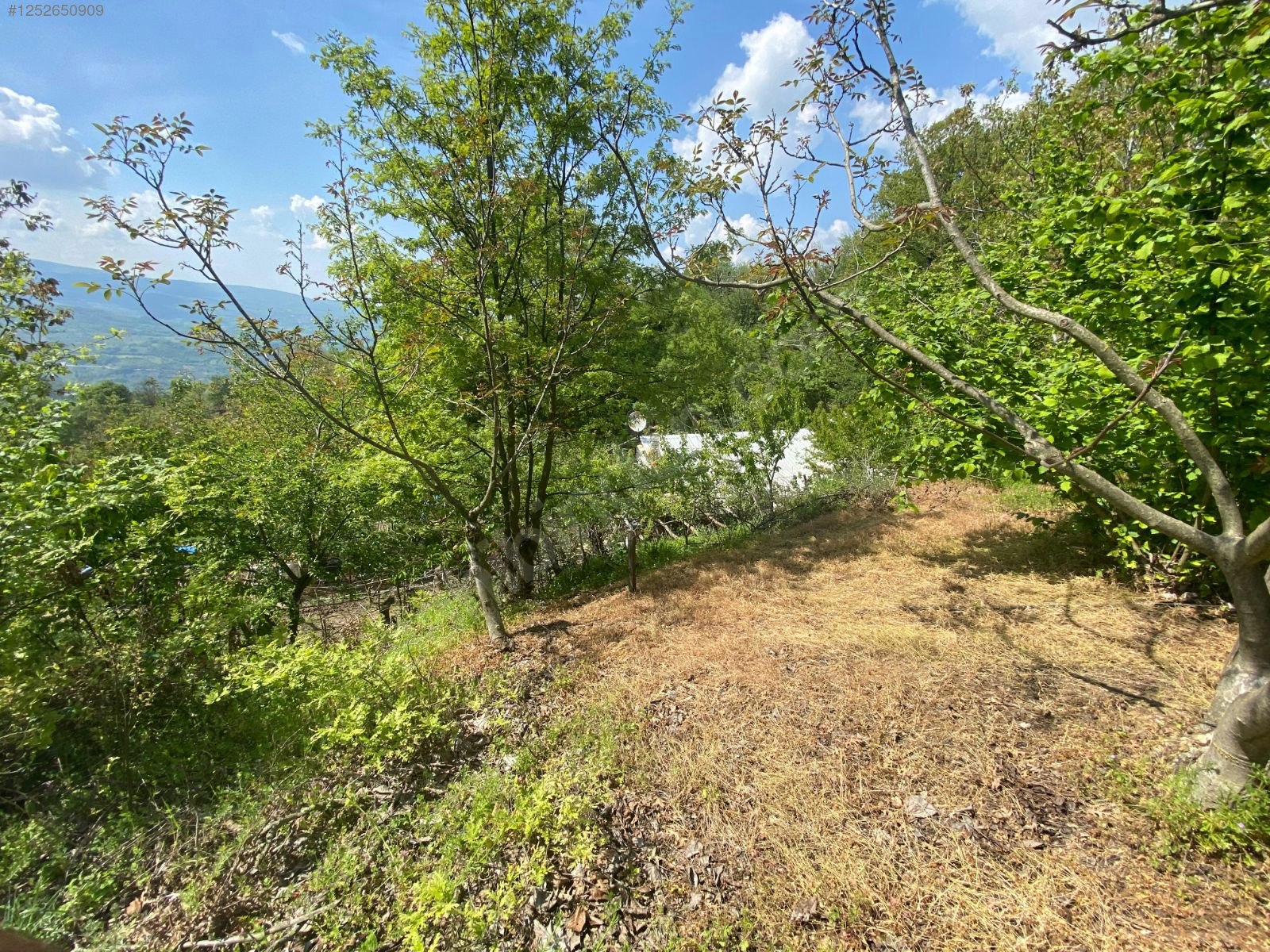 BURSA M.KEMALPAŞA KURŞUNLU  7.300 M² TARLA SATILIKTIR. - BURSA MUSTAFAKEMALPAŞA fotoğraf 17