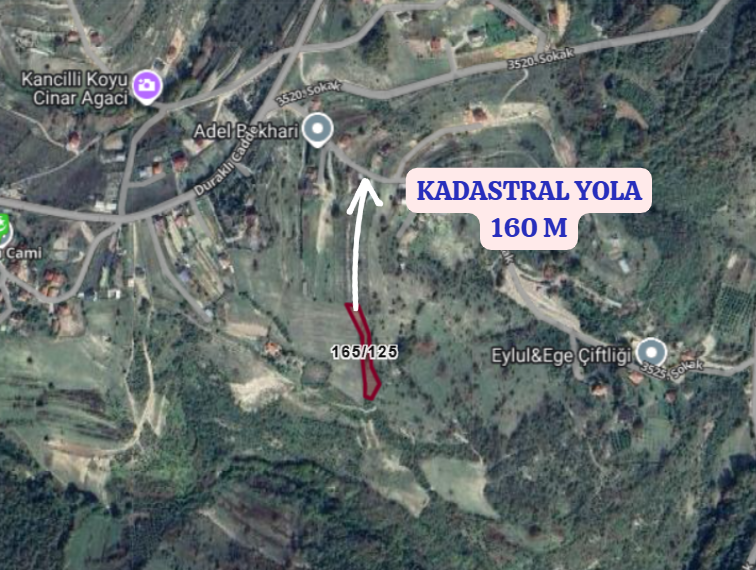 KOCAELİ GEBZE DURAKLI   MAHALLESİNDE 1.624 M²  TARLA  SATILIKTIR - KOCAELİ GEBZE fotoğraf 3