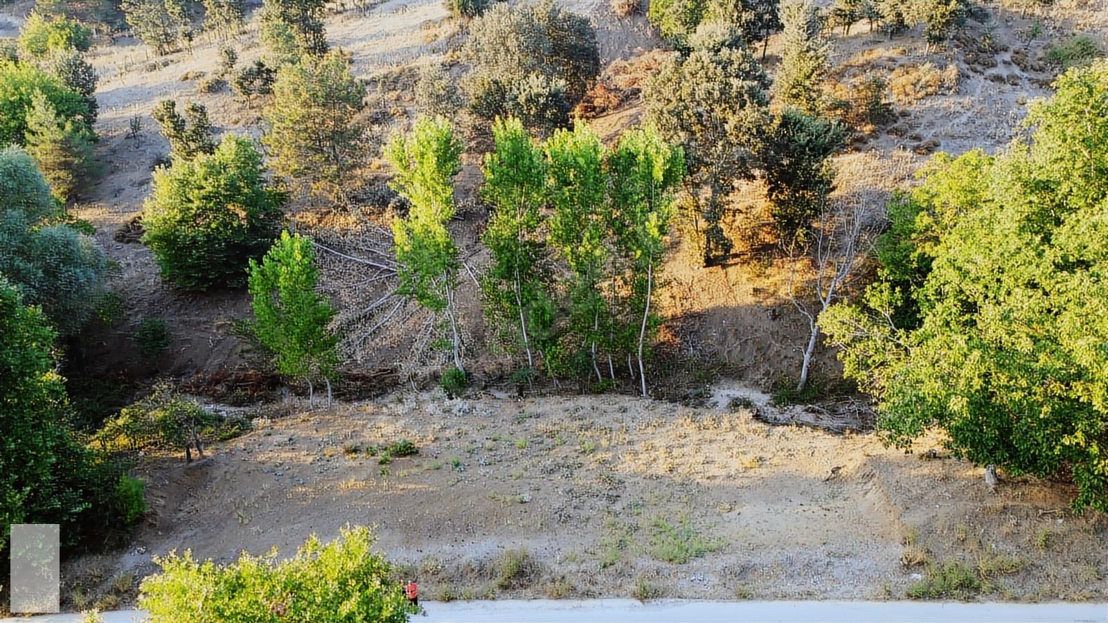 ÇANAKKALE BAYRAMİÇ SERHAT KÖYÜ 592 m2 % 80 İMARLI ARSA - ÇANAKKALE BAYRAMİÇ fotoğraf 7