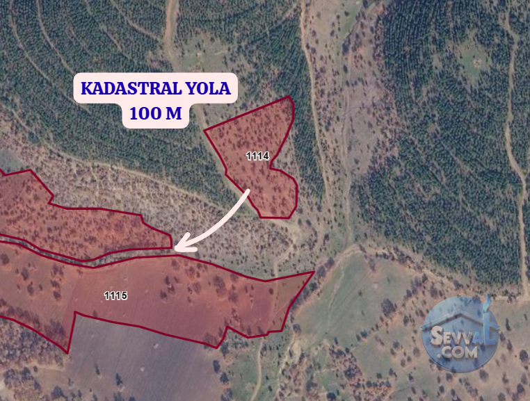 KÜTAHYA ŞAPHANE ÜÇBAŞ  KÖYÜNDE 10.000 M²  TARLA  SATILIKTIR - KÜTAHYA ŞAPHANE fotoğraf 3