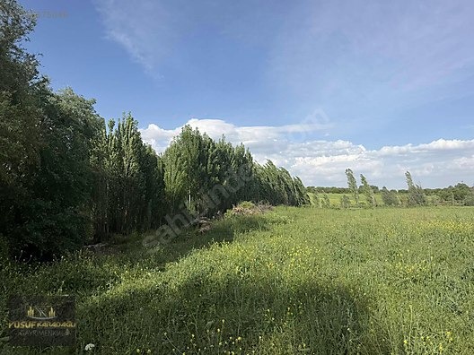 YAZIHAN KÖMÜŞHANDA ACİL SATILIK SULU TARLA - MALATYA YAZIHAN fotoğraf 11