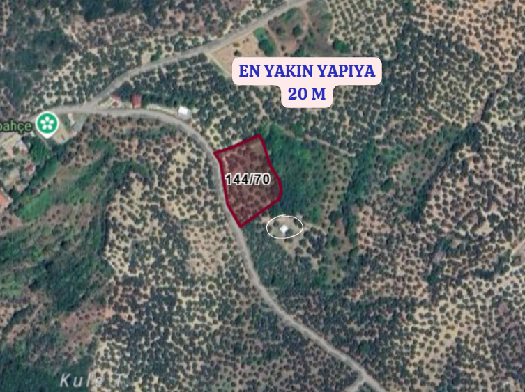 BURSA MUDANYA TİRİLYE (TALATBEY)  KÖYÜNDE 3.057 M²  ZEYTİNLİK SATILIKTIR - BURSA MUDANYA fotoğraf 4