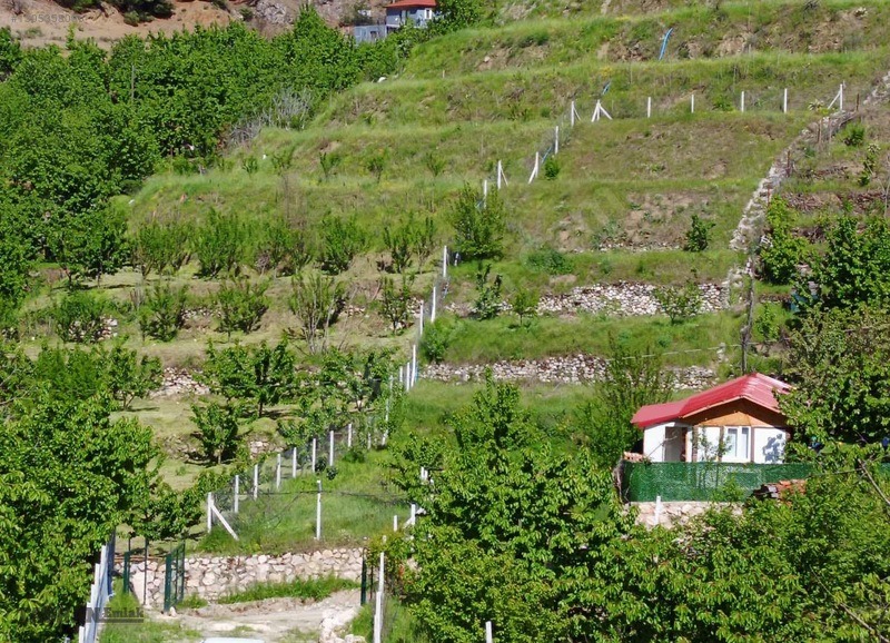 TAŞHAN EMLAKDAN YENİCE DE SATILIK TEK TAPU HOBİ BAHÇE - AMASYA MERKEZ fotoğraf 8