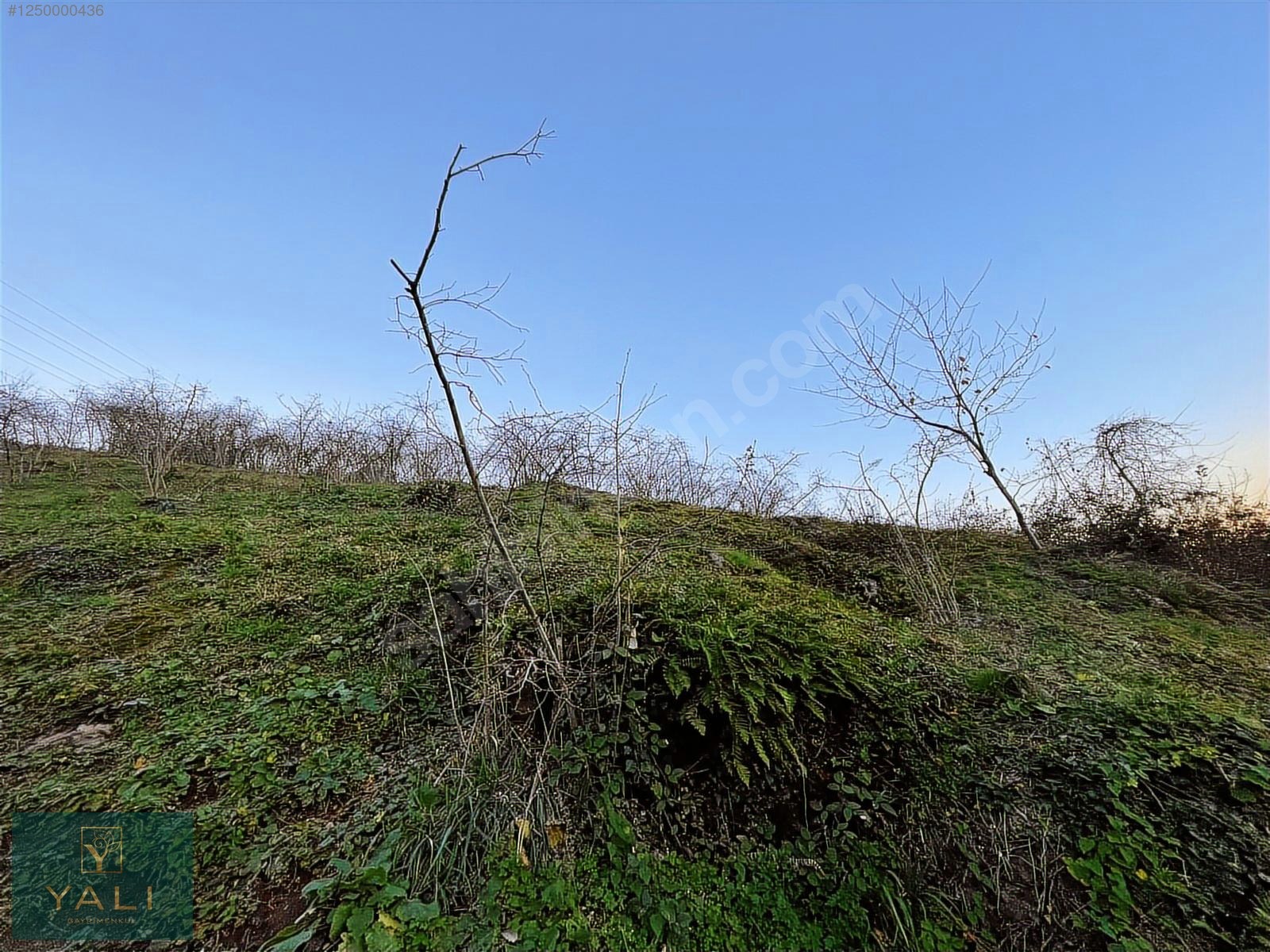 SELDEĞİRMENİ'NDE İMARLI FULL MANZARALI 716M2 SATILIK ARSA - GİRESUN MERKEZ fotoğraf 4