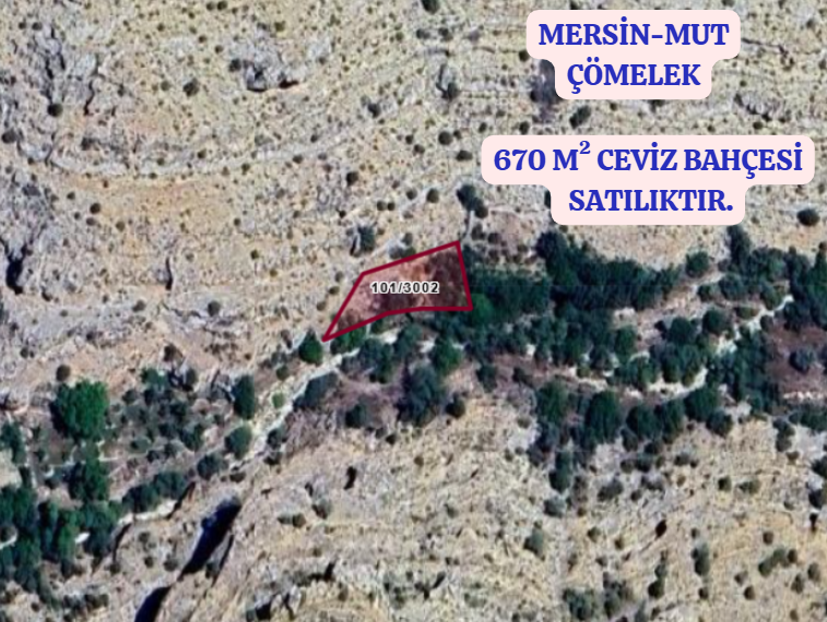 MERSİN MUT ÇÖMELEK  KÖYÜNDE 670 M²  CEVİZ BAHÇE  SATILIKTIR - MERSİN MUT fotoğraf 2