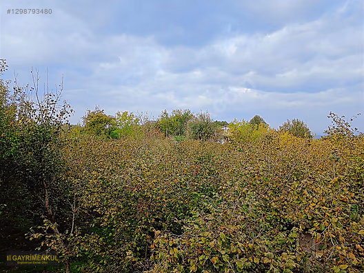 HENDEK SÜLEYMANİYE'DE EŞİ BENZERİ OLMAYAN 16.365 M² KÖYİÇİ ARSA - SAKARYA HENDEK fotoğraf 38