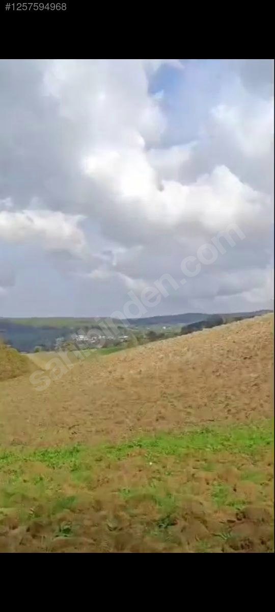 KOCAELİ İZMİT BULDUK  KÖYÜNDE 985 M²  TARLA  SATILIKTIR - KOCAELİ İZMİT fotoğraf 8
