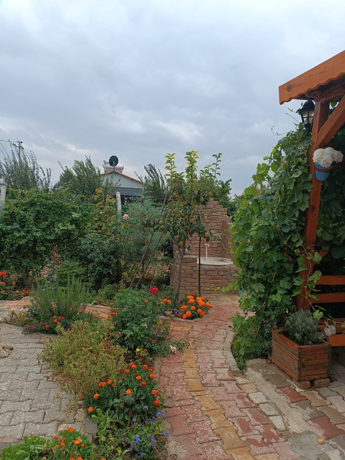 İÇİNDE EVİ ELEKTRİĞİ SUYU OLAN HAZIR KURULU BAHÇE - KONYA MERAM fotoğraf 8