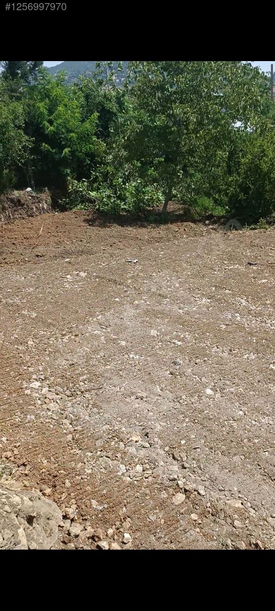 KAHRAMANMARAŞ ANDIRIN KABAKLAR KÖYÜNDE 260 M²  BAHÇE SATILIKTIR - KAHRAMANMARAŞ ANDIRIN fotoğraf 9